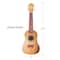 Salus KaKo'o 21" Sandalwood Professional Wooden Ukulele Set